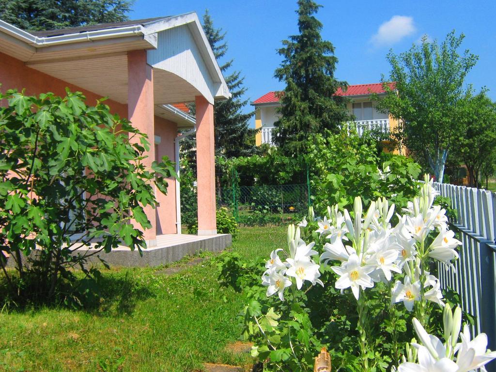 Fészek Apartmanház Vonyarcvashegy Exterior foto
