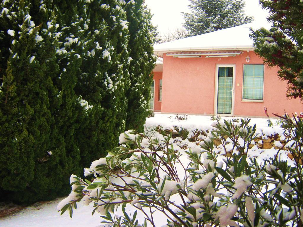 Fészek Apartmanház Vonyarcvashegy Exterior foto