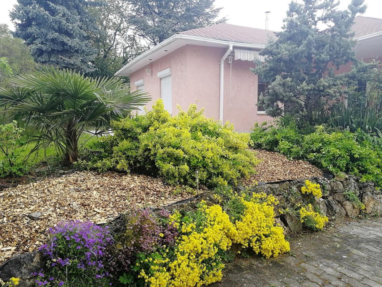Fészek Apartmanház Vonyarcvashegy Exterior foto