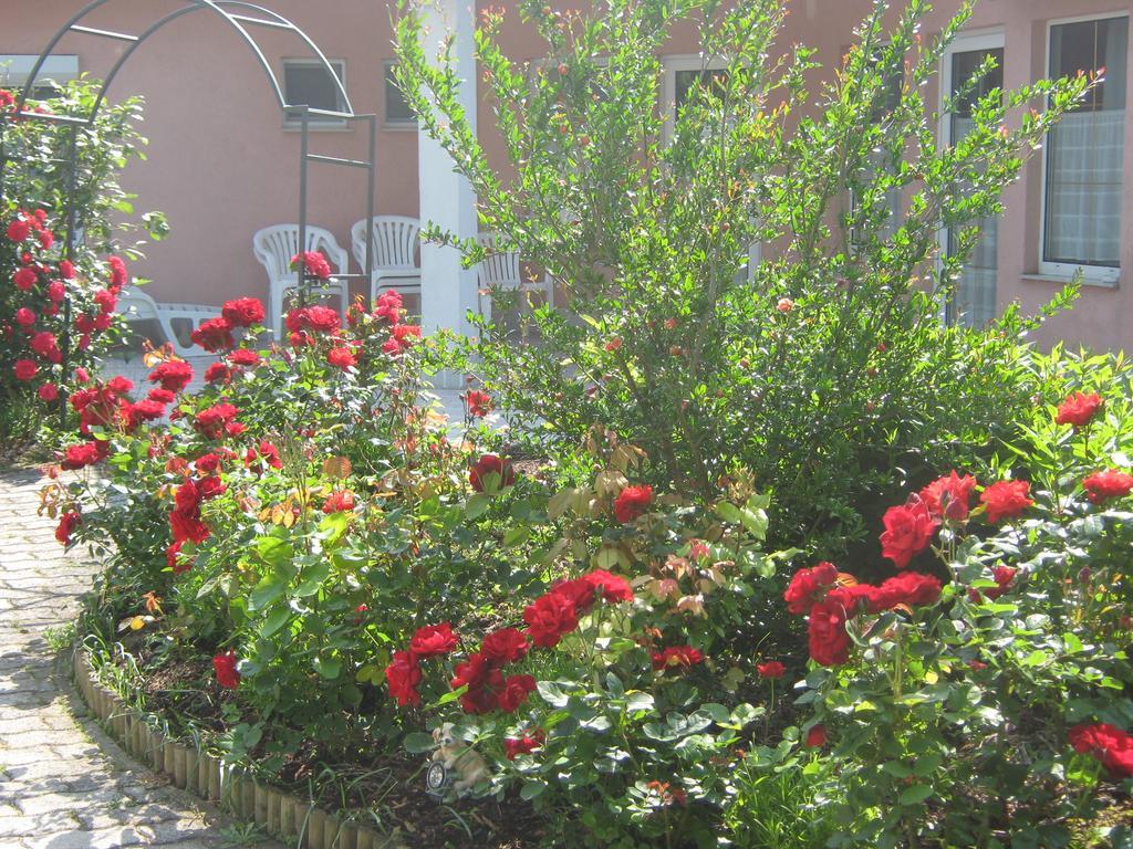 Fészek Apartmanház Vonyarcvashegy Exterior foto